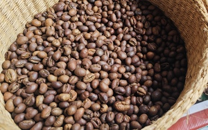 Gi&aacute; c&agrave; ph&ecirc; h&ocirc;m nay 2 - 3: T&igrave;nh h&igrave;nh thị trường v&agrave; diễn biến gi&aacute; cả mới nhất - Ảnh 1.