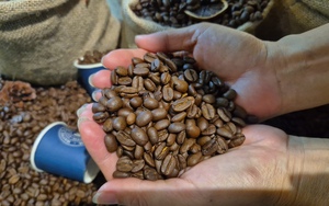 Gi&aacute; c&agrave; ph&ecirc; h&ocirc;m nay 13 - 3: Tăng trưởng nhờ biến động thị trường - Ảnh 1.