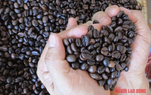 Gi&aacute; c&agrave; ph&ecirc; h&ocirc;m nay 25-3: Arabica tăng n&oacute;ng, vượt 7.000 USD/tấn - Ảnh 1.