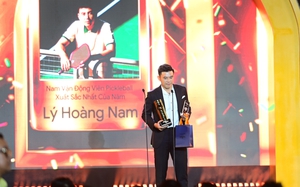 L&yacute; Ho&agrave;ng Nam v&agrave; c&uacute; rẽ đ&uacute;ng thời điểm  - Ảnh 3.