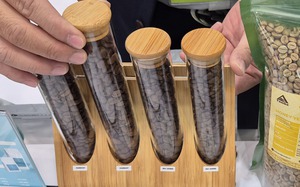 Gi&aacute; c&agrave; ph&ecirc; h&ocirc;m nay 28-3: Robusta giữ gi&aacute; tốt hơn, Brazil ra h&agrave;ng chậm  - Ảnh 1.