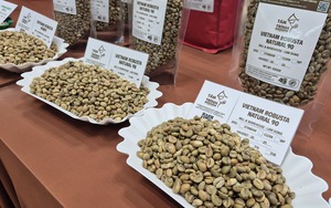 Gi&aacute; c&agrave; ph&ecirc; h&ocirc;m nay 1-4: Bật tăng, cuối tuần săn khuyến m&atilde;i tại lễ hội c&agrave; ph&ecirc; - Ảnh 1.