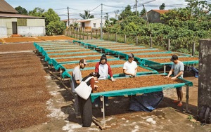 Đ&oacute;ng g&oacute;p lớn từ c&aacute;c cảng biển ở TPHCM - Ảnh 3.