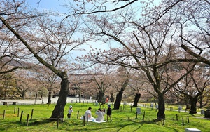 Một điểm đến ở Trung Quốc miễn visa cho kh&aacute;ch Việt, gi&aacute; tour giảm nhanh - Ảnh 1.