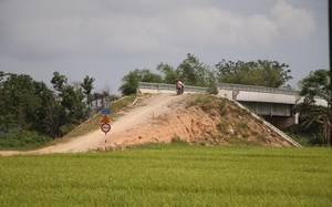 C&acirc;y cổ thụ bật gốc giữa đ&ecirc;m ở Đ&agrave; Nẵng, nghi do đ&agrave;o đường - Ảnh 4.