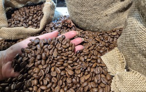 Gi&aacute; c&agrave; ph&ecirc; h&ocirc;m nay 15 - 4: Robusta tăng mạnh , nguồn cung vẫn l&agrave; ẩn số - Ảnh 1.