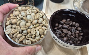 Gi&aacute; c&agrave; ph&ecirc; h&ocirc;m nay 19-4: Gi&aacute; Arabica dễ tổn thương hơn - Ảnh 1.