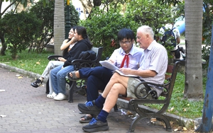 Xanh đ&ocirc; thị, m&aacute;t tinh thần (*): Mở rộng mảng xanh v&igrave; cuộc sống người d&acirc;n - Ảnh 2.