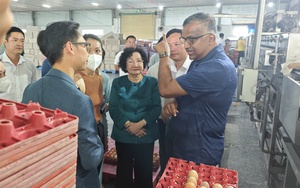 Ba Hu&acirc;n nợ bảo hiểm x&atilde; hội: Thương hiệu quốc d&acirc;n đang gặp kh&oacute; khăn năm 2026 - Ảnh 1.