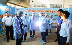 Yến sào Khánh Hòa đẩy mạnh xuất khẩu sang Trung Quốc - Ảnh 5.