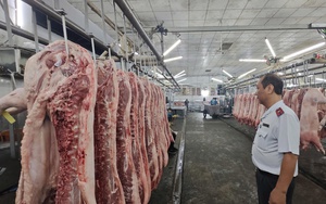 Gi&aacute; heo hơi h&ocirc;m nay, 7-4: Sức mua yếu, gi&aacute; vẫn tăng - Ảnh 1.