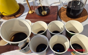 Gi&aacute; c&agrave; ph&ecirc; h&ocirc;m nay 7-4: Arabica tăng gi&aacute;, 20% v&ugrave;ng trồng c&oacute; nguy cơ kh&ocirc;ng ph&ugrave; hợp - Ảnh 2.