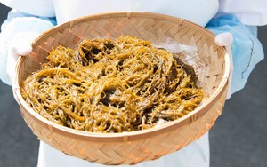 Ra mắt sản phẩm Fucoidan phiên bản giới hạn - Ảnh 4.
