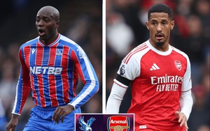 Arsenal n&acirc;ng c&uacute;p v&ocirc; địch Premier League sau 22 năm chờ đợi - Ảnh 3.