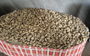 Gi&aacute; c&agrave; ph&ecirc; h&ocirc;m nay 30-5: Arabica lao dốc; người Việt uống c&agrave; ph&ecirc; nhiều hơn - Ảnh 1.