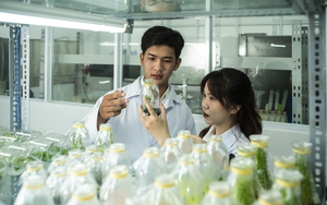 ĐH Văn Lang hợp t&aacute;c NUS th&uacute;c đẩy đổi mới s&aacute;ng tạo - Ảnh 2.