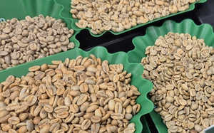 Gi&aacute; c&agrave; ph&ecirc; h&ocirc;m nay 4-5: Liệu Robusta c&oacute; về lại mốc 4.000 USD/tấn? - Ảnh 1.