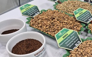 Gi&aacute; c&agrave; ph&ecirc; h&ocirc;m nay 2-6: Arabica giảm 3 con số - Ảnh 1.