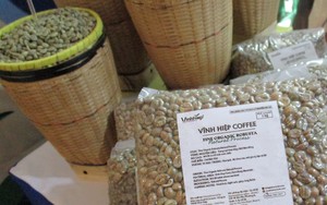 Gi&aacute; c&agrave; ph&ecirc; h&ocirc;m nay 8 - 5: Robusta tăng li&ecirc;n tiếp , Arabica giảm s&acirc;u - Ảnh 1.