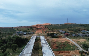  - Ảnh 11.