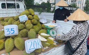 Giải ph&aacute;p cho xuất khẩu sầu ri&ecirc;ng nhiễm cadimi: N&ocirc;ng d&acirc;n kh&ocirc;ng cố t&igrave;nh g&acirc;y ra - Ảnh 2.