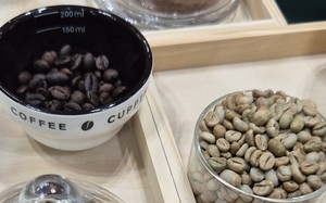 Gi&aacute; c&agrave; ph&ecirc; h&ocirc;m nay 18 - 6: Robusta tăng 6 phi&ecirc;n li&ecirc;n tiếp , n&ocirc;ng d&acirc;n b&aacute;n ra - Ảnh 1.