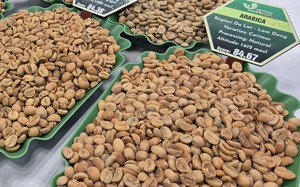 Gi&aacute; c&agrave; ph&ecirc; h&ocirc;m nay 3 - 6: Robusta tăng trở lại giữa bối cảnh thị trường - Ảnh 1.