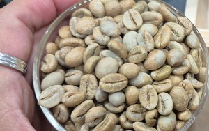 Gi&aacute; c&agrave; ph&ecirc; h&ocirc;m nay 24 - 6: Arabica tăng mạnh trở lại trong bối cảnh Thị trường Kinh tế - Ảnh 2.