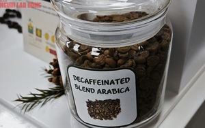 Gi&aacute; c&agrave; ph&ecirc; h&ocirc;m nay 30 - 6: Arabica tăng , Robusta giảm giữa thị trường biến động 2026 - Ảnh 1.