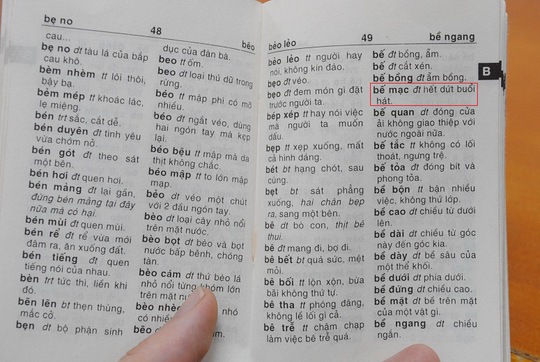 Xử lý nghiêm vụ từ điển tiếng Việt gây sốc!