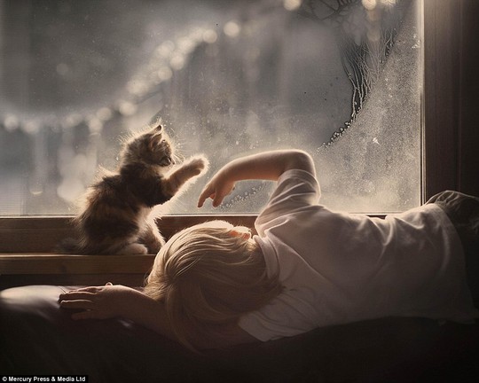 A boy and his cat create drawings on a misty window in the selection of pictures that show the powerful bond owners have with their pets