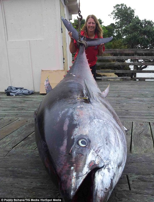 Bà Donna Pascoe và con cá ngừ vây xanh khổng lồ. Ảnh: HotSpot Media