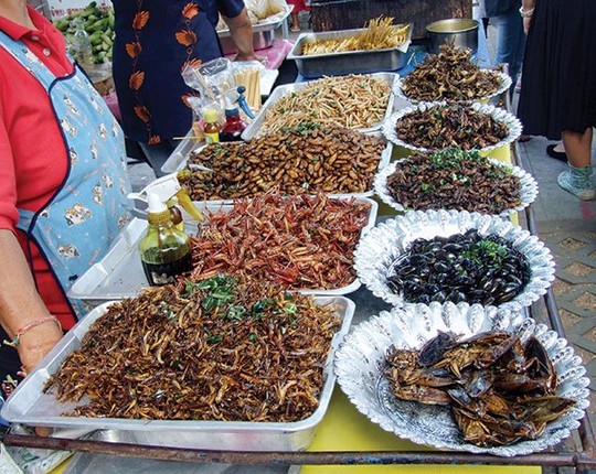 Côn trùng bán ở chợ Thái Lan làm thực phẩm. Ảnh: Wikimedia