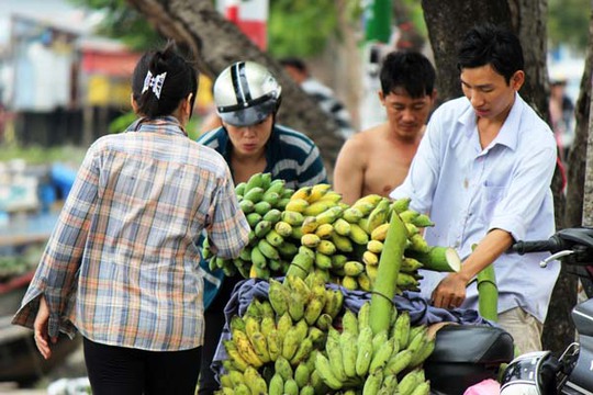 4.	Nhiều thương lái đến đây mua để phân phối khắp các chợ tại Sài Gòn.