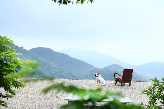 Phần mái không chỉ là sảnh dẫn xuống nhà chính mà còn làm nơi thư giãn, giúp chủ nhà có những khoảnh khắc hòa mình với khung cảnh bao la của Tam Đảo.