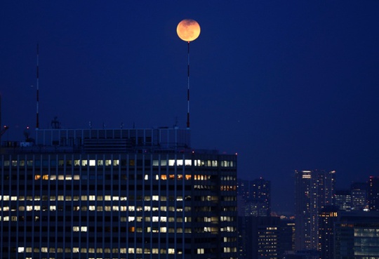 Trăng máu giống như quả bóng bay trên bầu trời Tokyo, Nhật Bản. Ảnh: Reuters