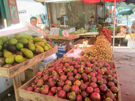 Nếu như năm ngoái bòn bon luôn ở mức giá trên 50.000 đồng/kg, nay đã xuống còn 20.000 đồng. Măng cụt cũng giảm giá tương tự