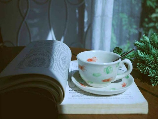 Nhiều bạn trẻ có sở thích thưởng thức trà, bánh qui, và đọc vài trang sách thư giãn vào những buổi chiều.
