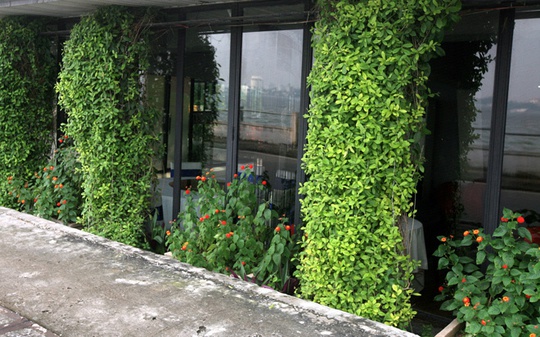 Sự kết hợp hài hòa giữa các cột cây xanh và bụi hoa nhỏ đem tới vẻ sinh động cho một nhà hàng.