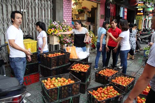Các bạn trẻ dự tính mở rộng các điểm bán cà chua để hỗ trợ nông dân Lâm Đồng được nhiều hơn.