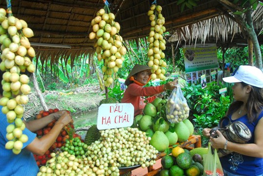 Vào thời điểm này, dâu được bày bán dọc theo các con đường ở Cần Thơ cũng như các tỉnh lân cận, đây cũng là loại trái cây được khách mua nhiều nhất mùa này.