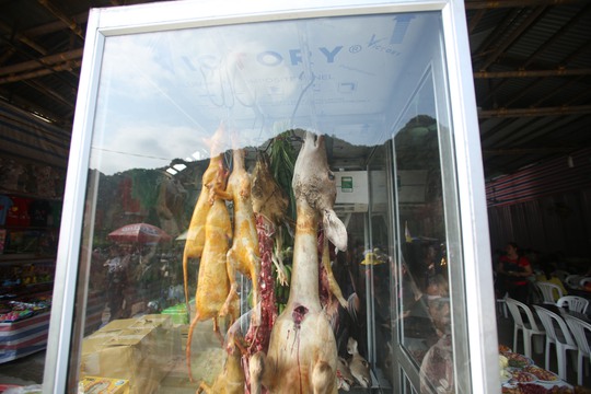 Thịt thú rừng vẫn dược bày bán công khai và nhan nhản