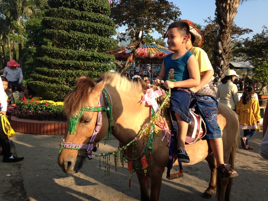 Nhiều trẻ thích thú khi được cưỡi ngựa chụp ảnh lưu niệm