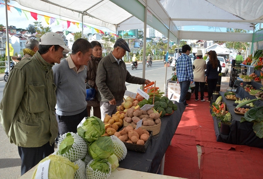 Gian hàng hướng dẫn phân biệt rau củ Trung Quốc với rau củ Đà Lạt thu hút được sự chú ý của nhiều người