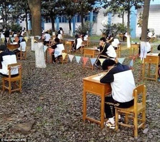 Trung Quốc: Sinh viên vào rừng làm bài thi