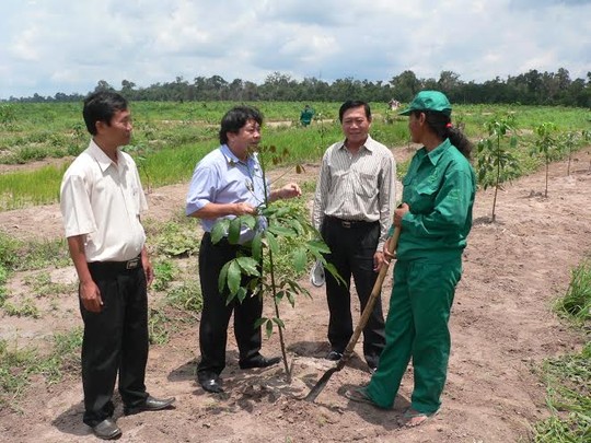 Ông Phan Mạnh Hùng, Chủ tịch CĐ Cao su Việt Nam (thứ hai từ trái sang), thăm hỏi công nhân