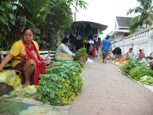 Dù không mướt mát nhưng thực phẩm ở Lào trông có vẻ là rau sạch