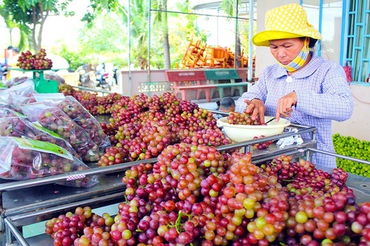 Sau đó công nhân sẽ đóng gói theo trọng lượng quy định sẵn.