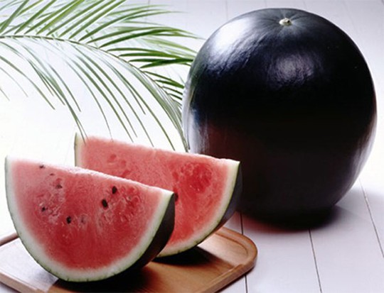 Không chỉ có xoài, Nhật Bản còn sở hữu một “báu vật” nông nghiệp nổi tiếng là trái dưa hấu Densuke, với trưng là vỏ ngoài đen bóng và ruột đỏ thanh ngọt. Trong cuộc đấu giá năm 2008, một trái dưa Densuke từng được mua với giá 650.000 yen (tương đương khoảng 130 triệu đồng).