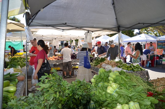 Húng quế, rau lang được bày bán tại chợ nông dân Mountain View